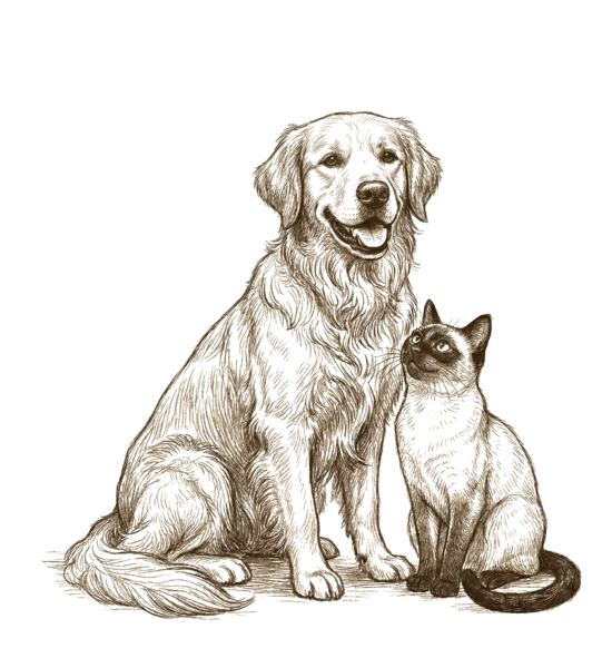 Illustration av en hund och katt